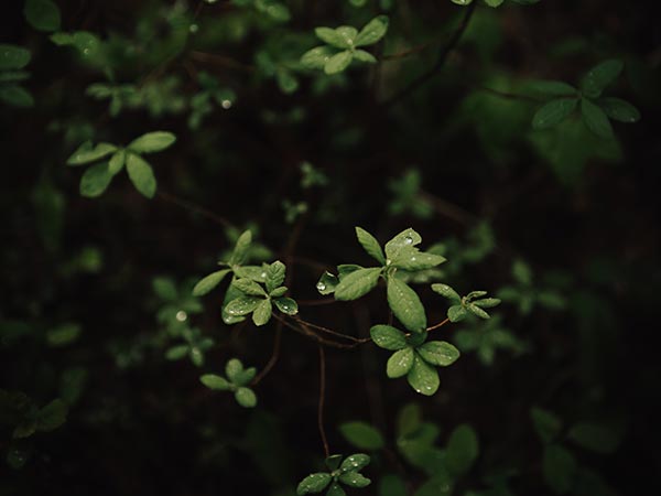 Ben Karpinski UR PNOruRPk Unsplash 1