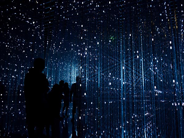 Libero Enim Sedfaucibus Turpis Magna Fermentum Justoeget Robynne Hu HOrhCnQsxnQ Unsplash 1